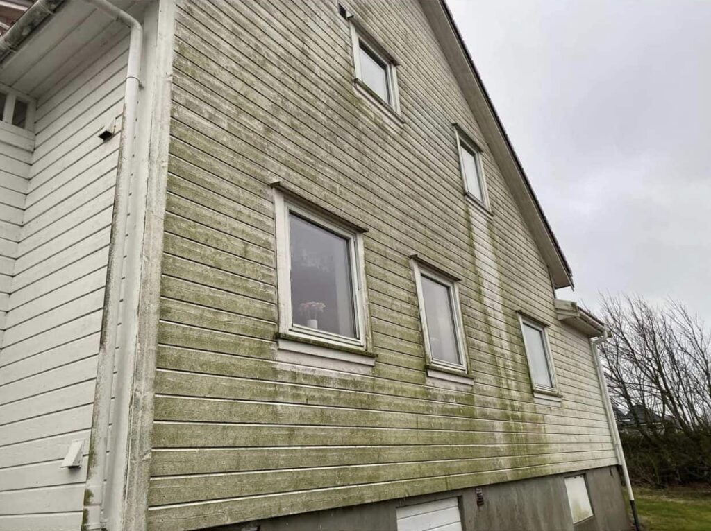 428708891_891900359606025_6269484545243867213_n-e1710241559498-1024×766