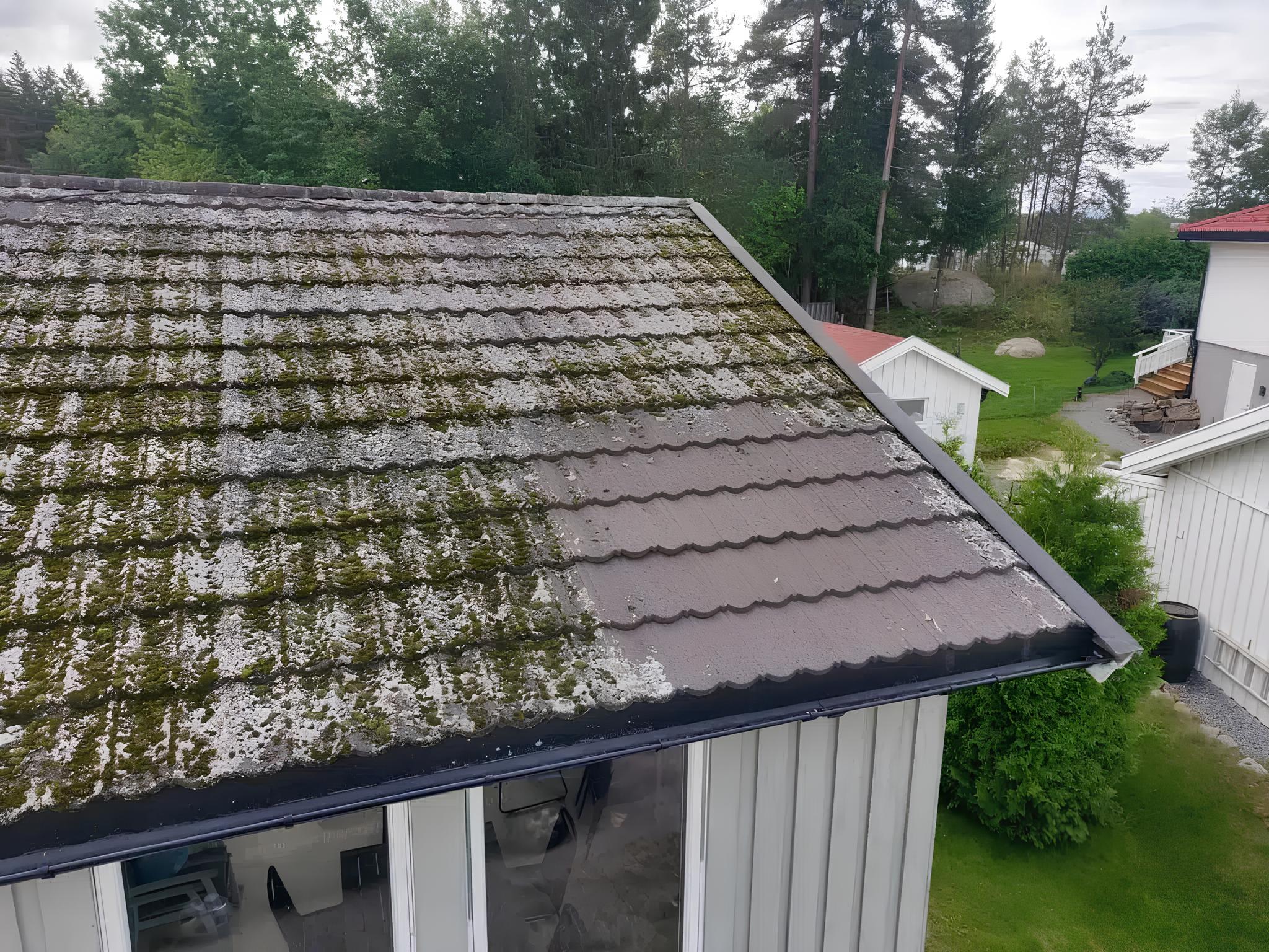 thumbnail_Mosetak-2-1024×768.jpg (1)